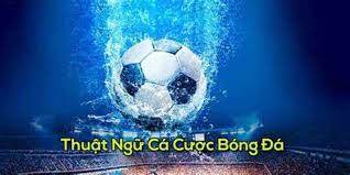 Hiểu kèo chuẩn xác chơi đâu cũng tự tin