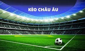 Thành thạo thuật ngữ giúp đặt cược thông minh